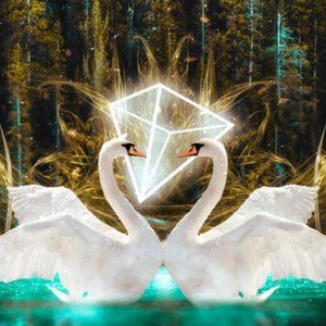 Meet your Posher, Mel